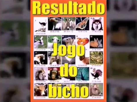 resultado do jogo do bicho da paraíba de 11 horas - resultado lotep paraíba de hoje